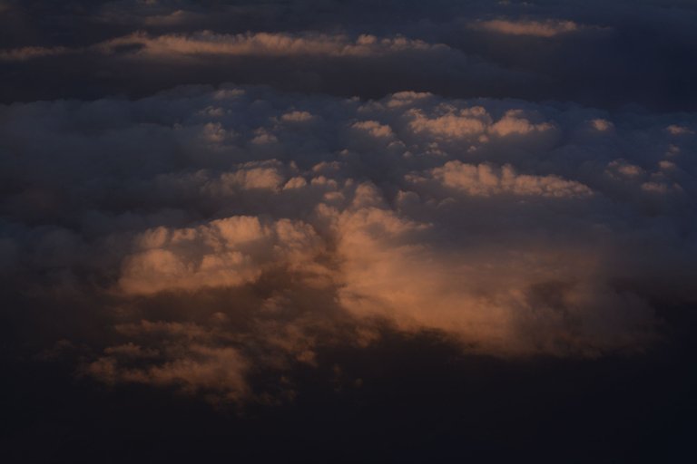 DSC_0201.JPG