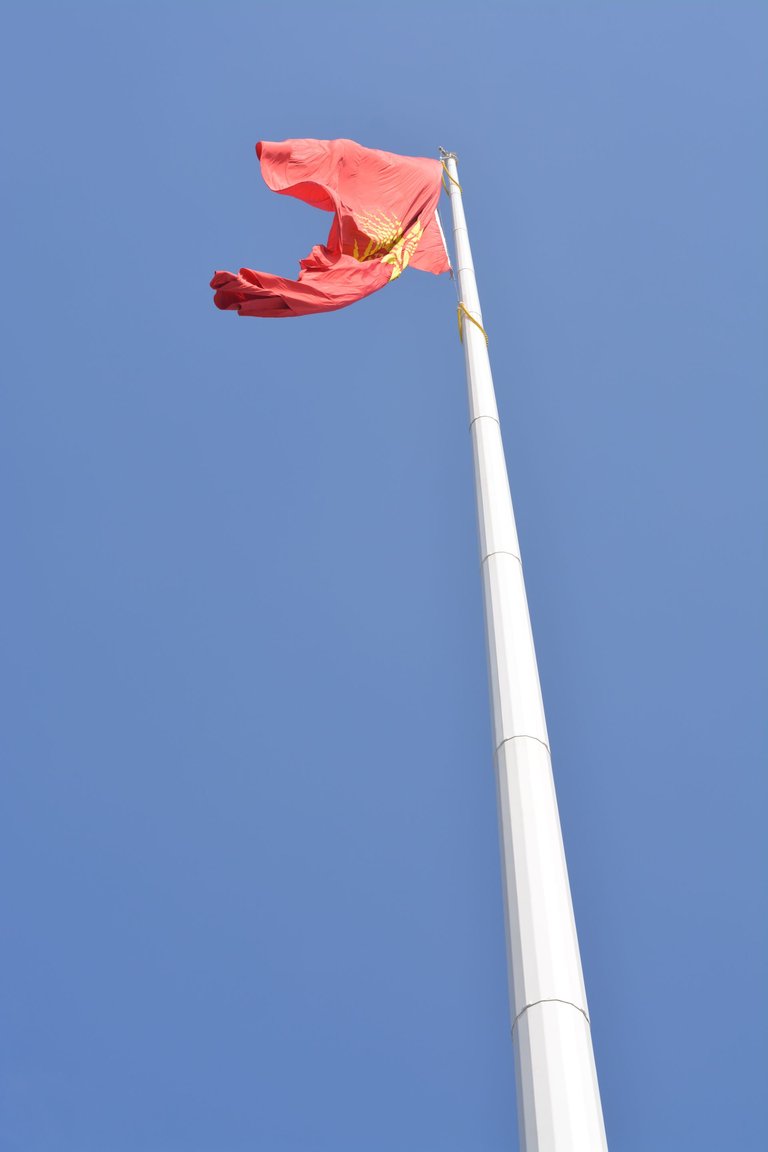DSC_0852.JPG