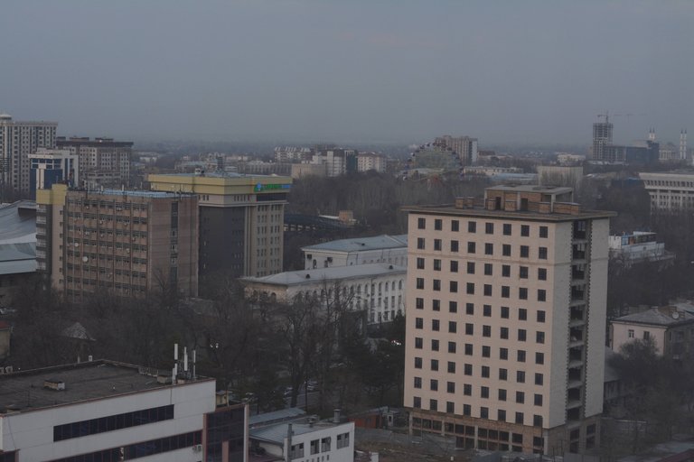 DSC_0806.JPG