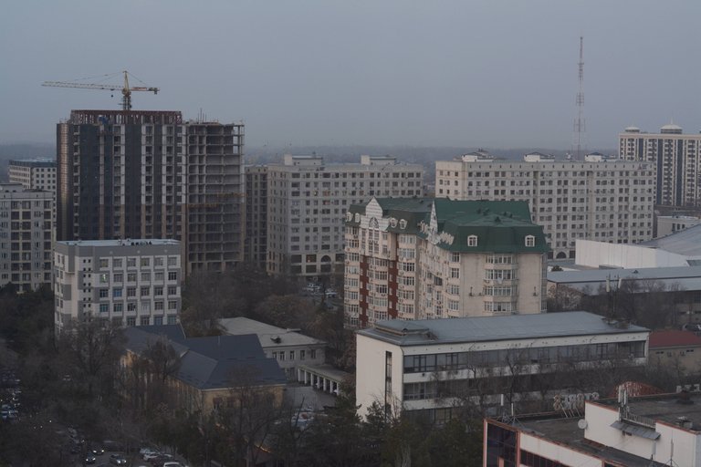 DSC_0807.JPG