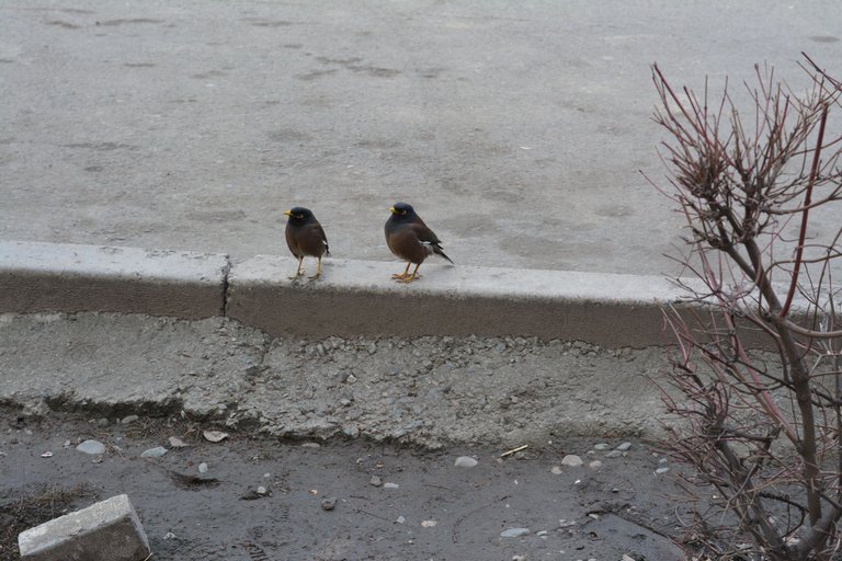 DSC_0842.JPG