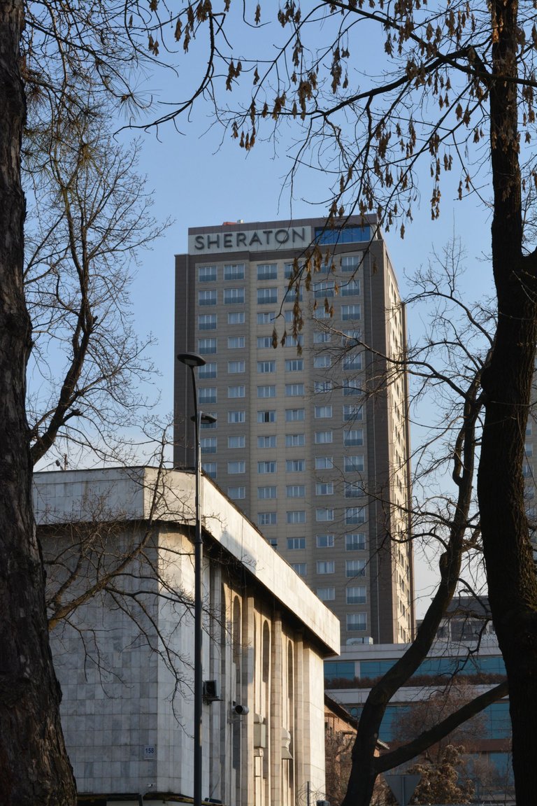 DSC_0907.JPG