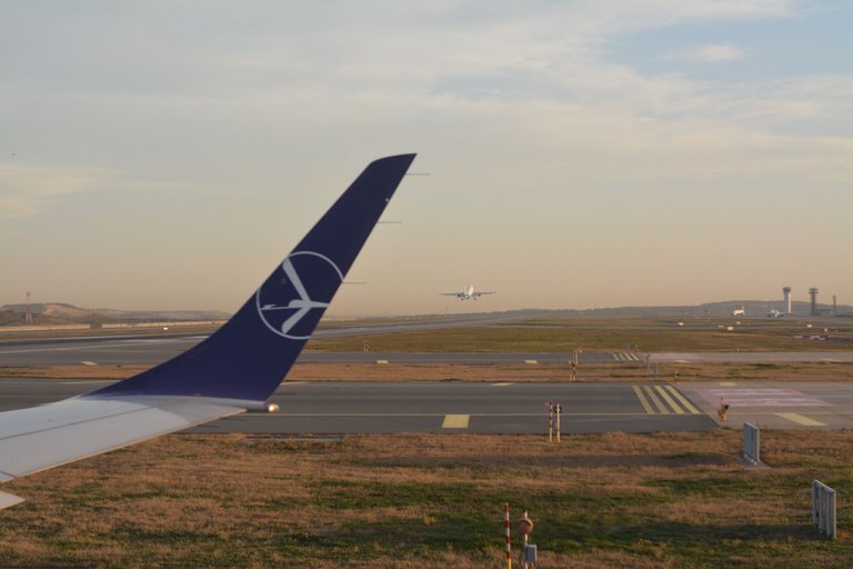 DSC_0195.JPG