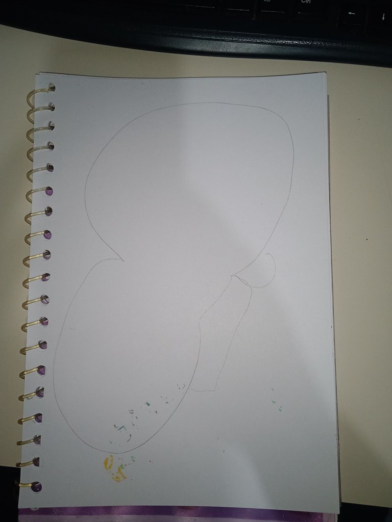 1746839111544.jpg