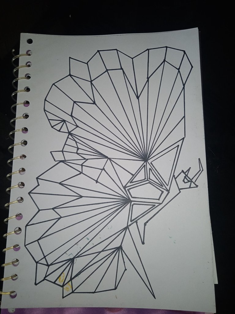 1746839111484.jpg