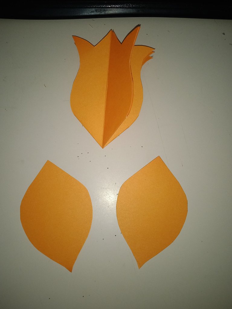1744923670236.jpg