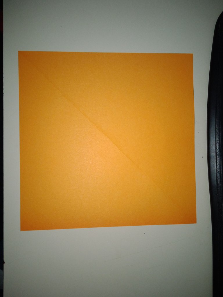 1744923670357.jpg