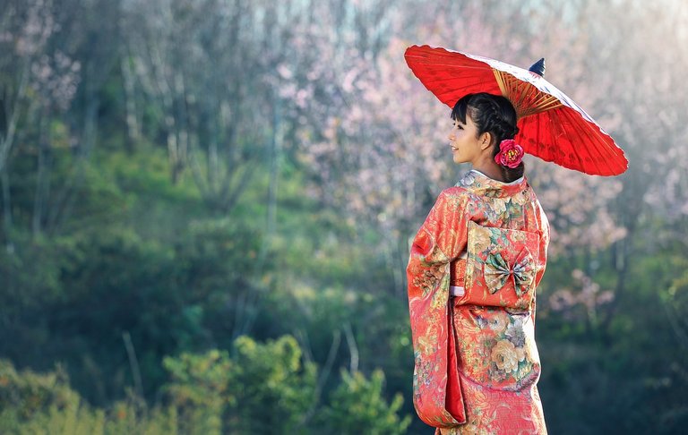 kimono-1822520_1280.jpg