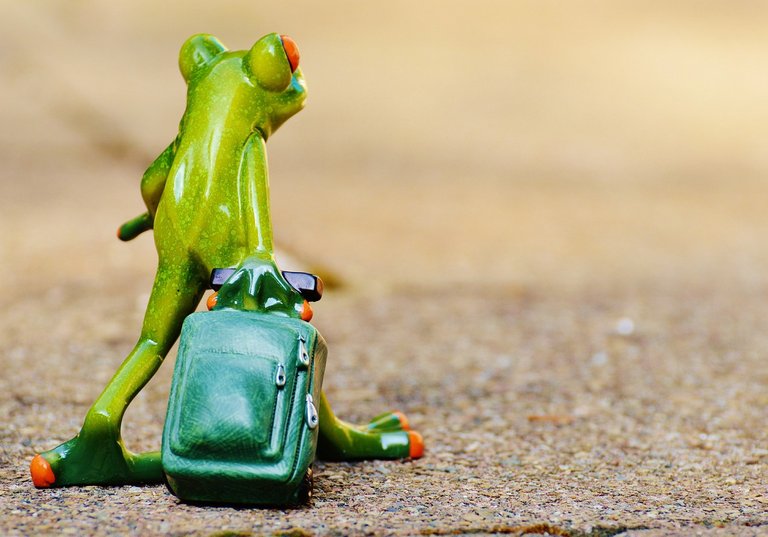 frog-897420_1280.jpg
