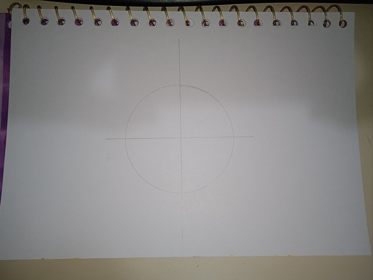1743718753642.jpg