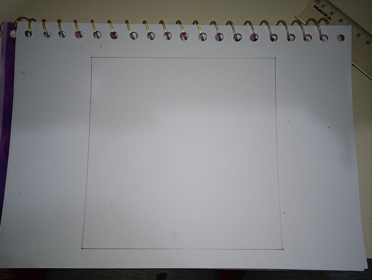 1747442047536.jpg