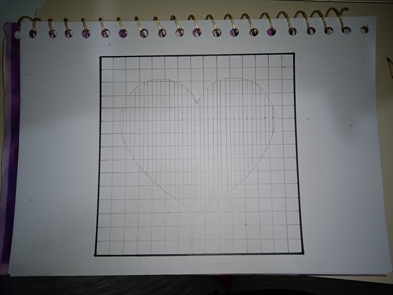 1747442047371.jpg