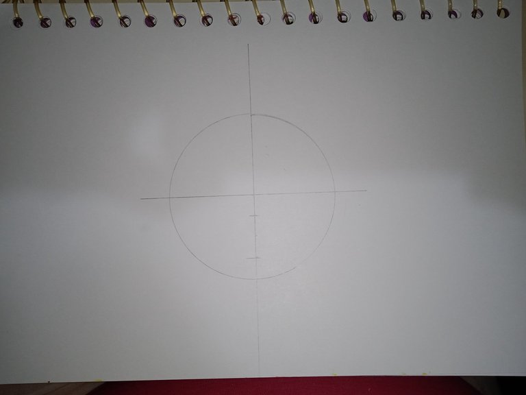 1743718753630.jpg