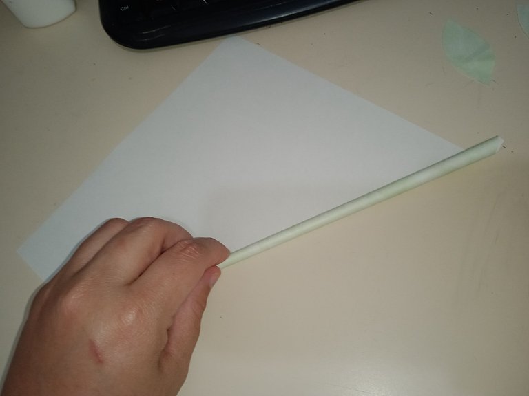 1744923670049.jpg