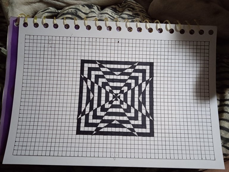 1748392866377.jpg