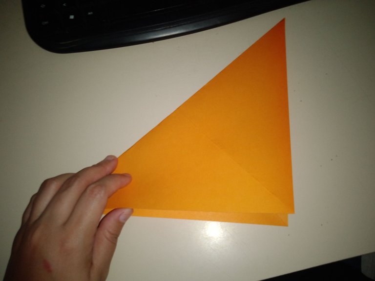 1744923670337.jpg