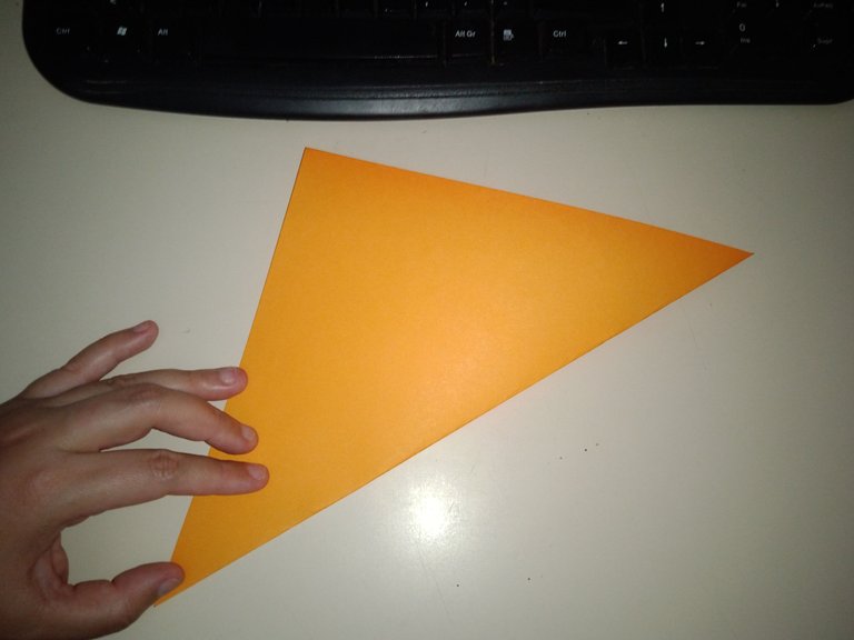 1744923670346.jpg