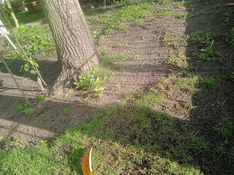 IMG_20250825_171635.jpg