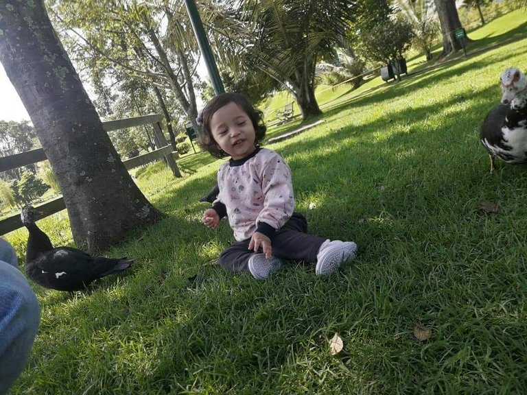 1000211215.jpg