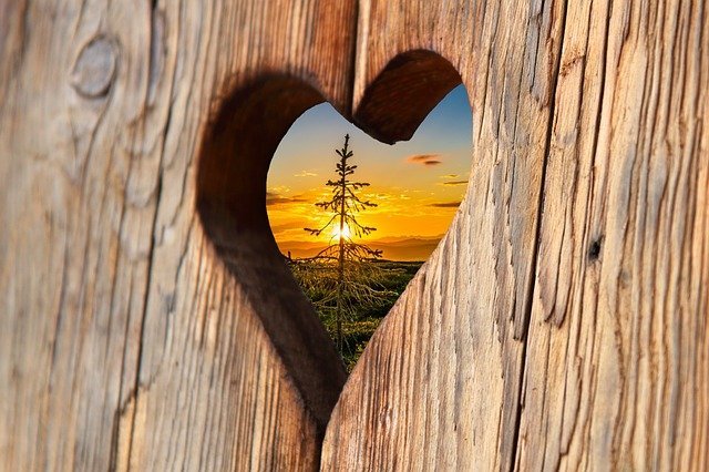 heart-2041866_640.jpg