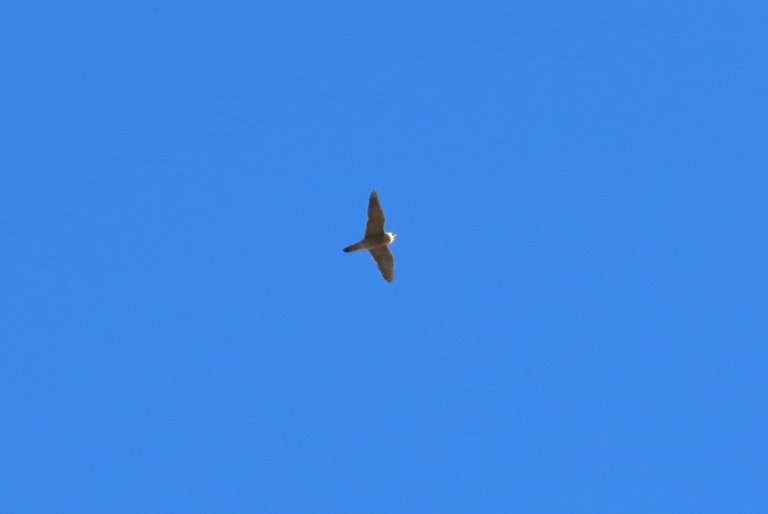 119.JPG