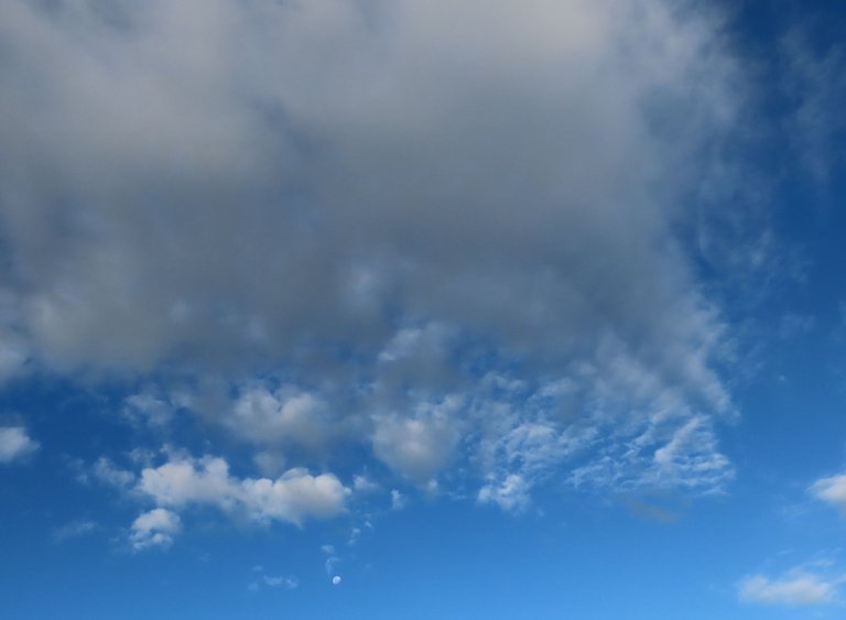103.JPG