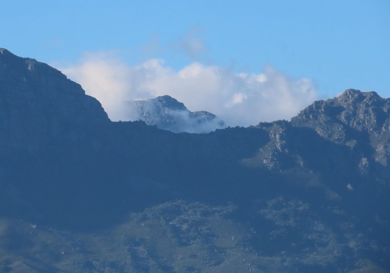122.JPG