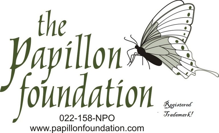 Papillon logo  web details.jpg