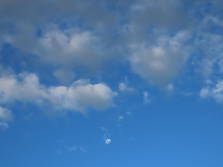 104.JPG