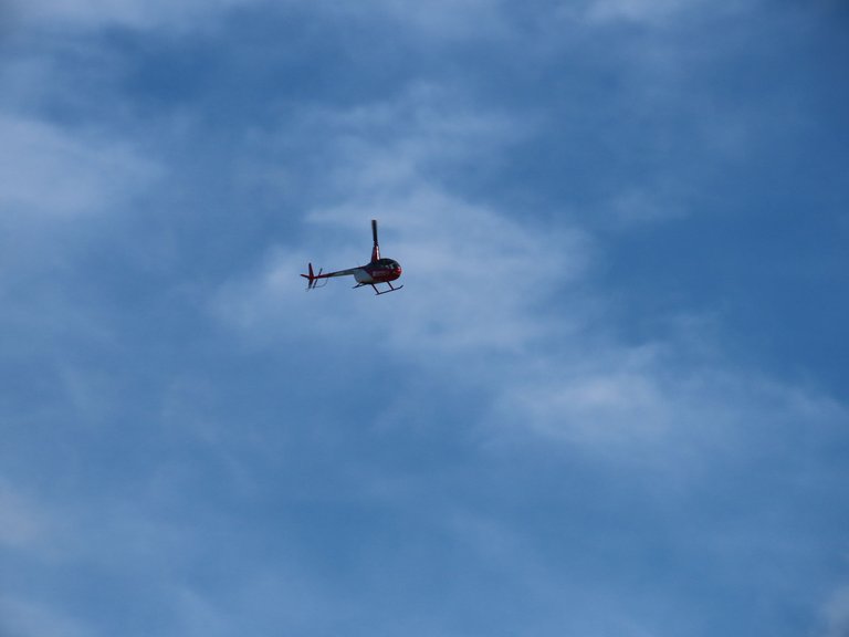 141.JPG