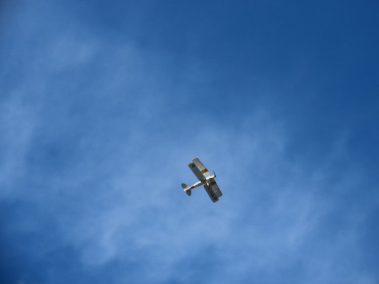 132.JPG