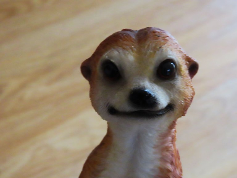 003.JPG