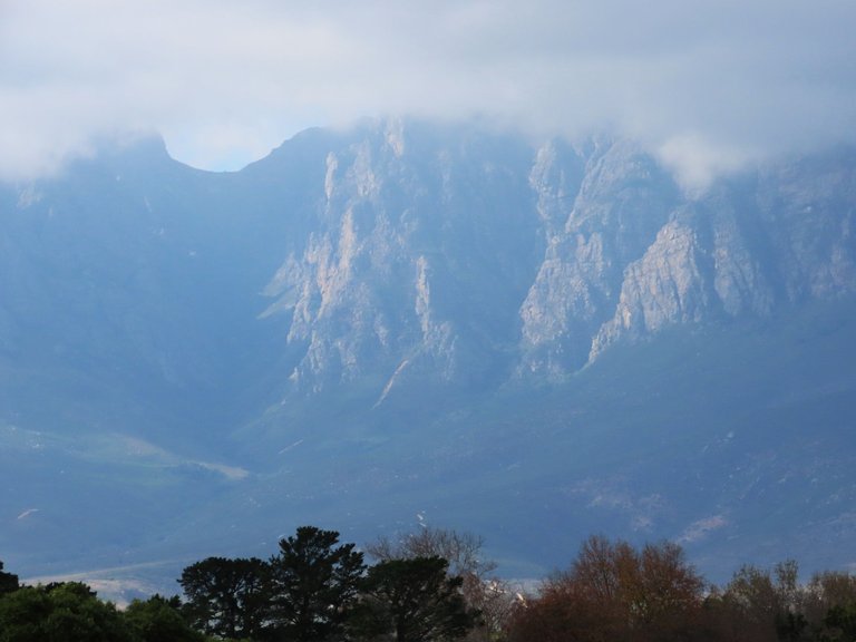 166.JPG