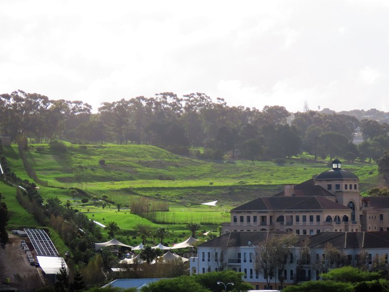 Bellville Cape 2023 074.JPG