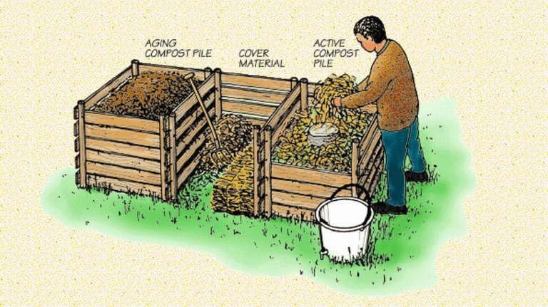 compost.jpg