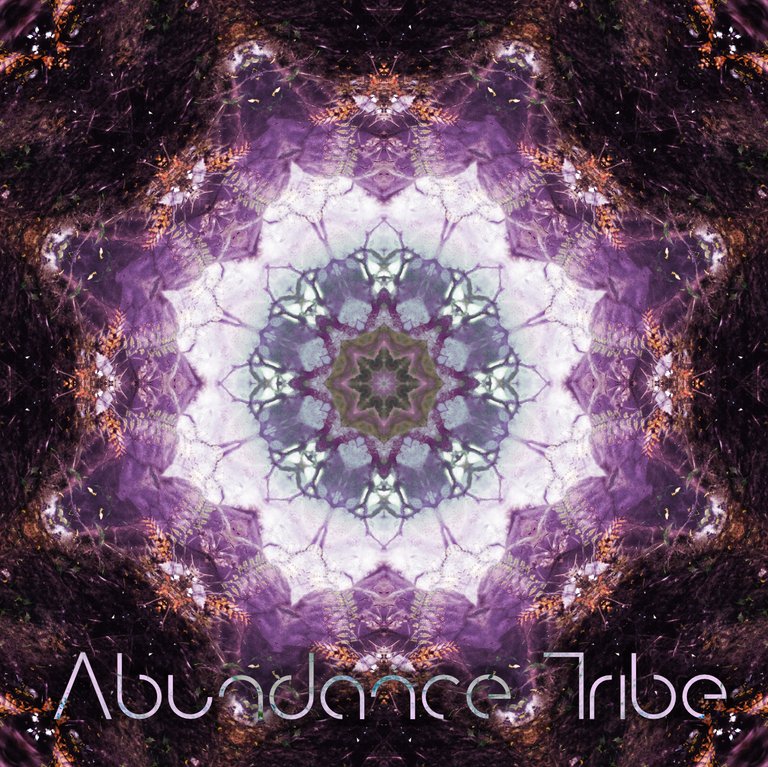 abundance tribe.jpg