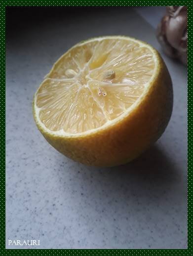 3-limon.citrux-limon.jpg