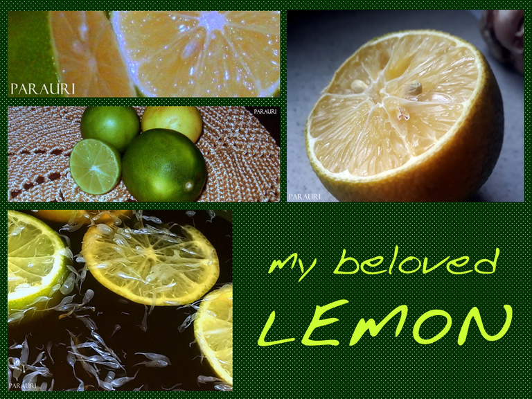 1-mi.amado.limon.png