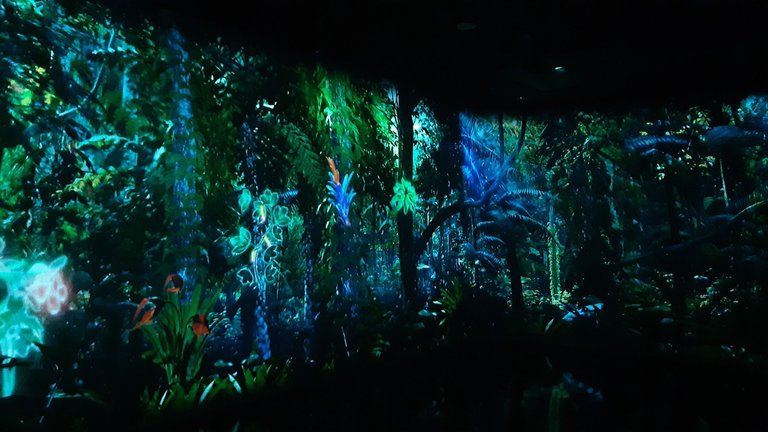 20241202_122110.jpg