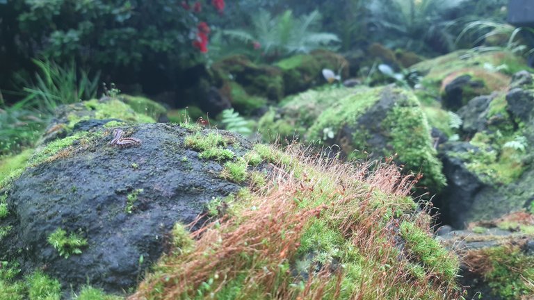 20241202_114114.jpg