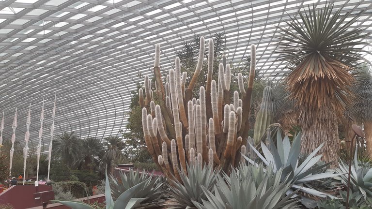 20241202_130712.jpg