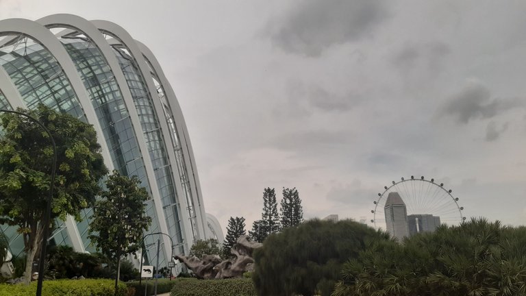 20241202_140607.jpg
