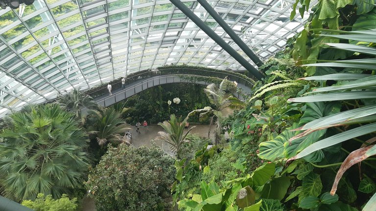 20241202_115440.jpg