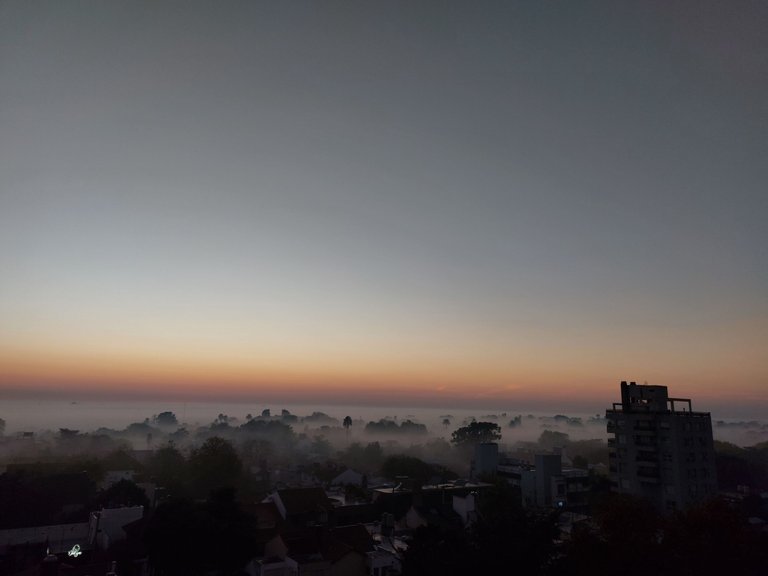 20250503_072153.jpg