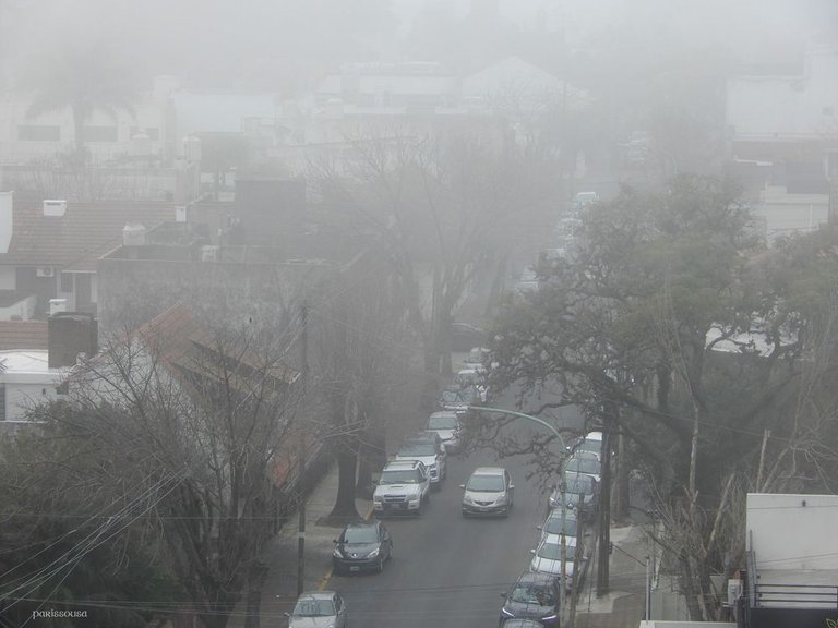 DSCN3715-web.jpg