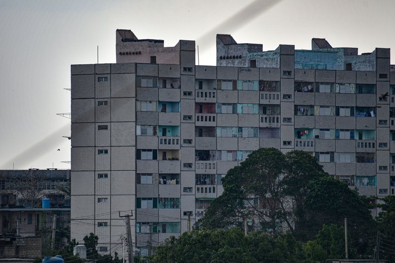 YFM_5893 copia.jpg