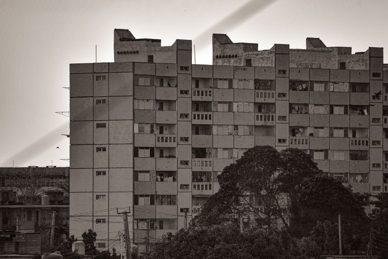 5893 copia 2.jpg