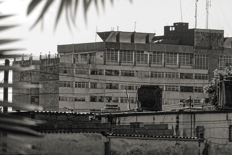 DSC03868 copia1.jpg