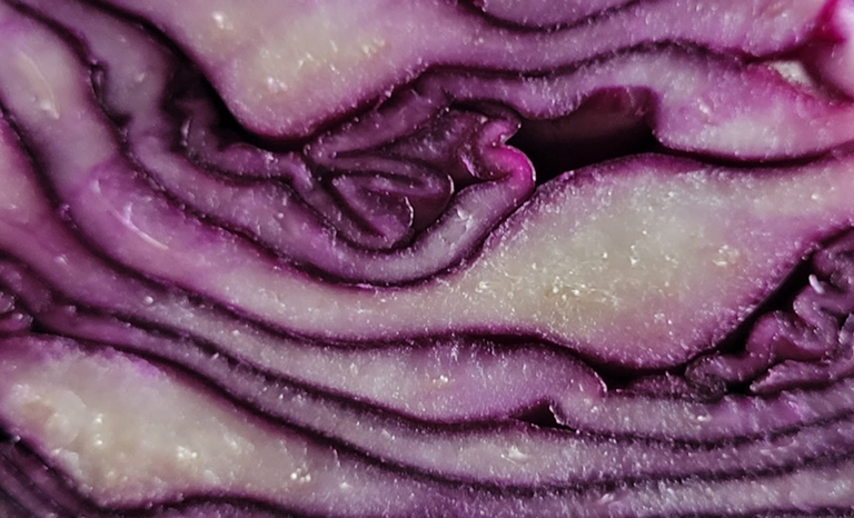 redcabbage.png