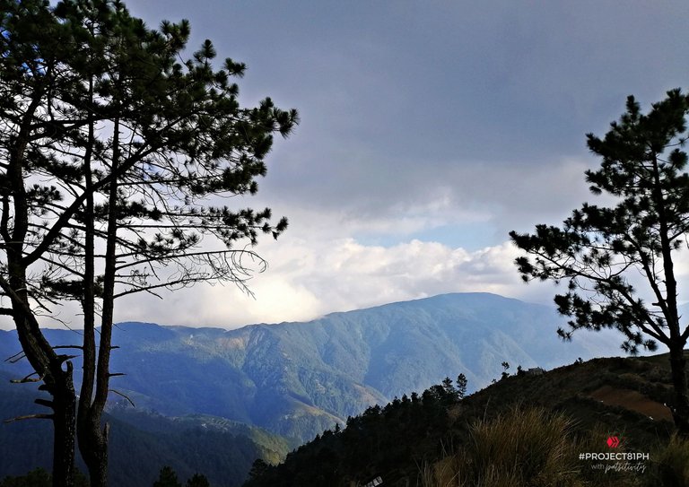 Hive_Pulag2 (1).png